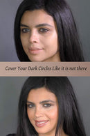 Ageless Derma Camoufleur Mineral Makeup Cream Under Eye Concealer Wheat. This Anti Aging Concealer has No Paraben and made in USA Ageless Derma