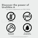 aeternum Urolithin A UA 30g Powder Infinity Warehouse