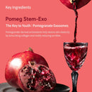 Overnight Collagen Lifting Gel Mask 5 pcs, Korean Face Lifting Deep Hydrogel Mask for Glass Skin, Anti-Aging with PDRN (Salmon DNA), Hyaluronic Acid for Elasticity, Firmness Infinity Warehouse