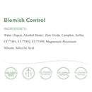 emerginC Blemish Control - Tinted Drying Spot Treatment with Salicylic Acid + Colloidal Sulfur to Improve the Appearance of Active Breakouts + Address Impurities (0.67 Ounce, 20 ml) EmerginC