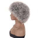 PWEOUKE 4 Inch Grey Afro Wig for Black Women Lightweight Synthetic Wig Fluffy Afro Curly Hair for Party and Daily High Temperature Fiber Short Afro Kinky Curly Wigs Full Wigs GREY