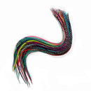 Feather Hair Extensions, 100% Real Rooster Feathers, Long Rainbow Colors, 20 Feathers with 20 Beads and 1 Loop Tool Kit, By Sexy Sparkles Feather hair Extensions