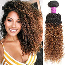 Feelgrace Hair Jerry Curl Ombre Blonde Brazilian Virgin Kinky Curly Human Hair Weave Bundles 1 Piece T1B/30 Color 16 inch Bundle Feelgrace