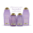 OGX Hydrate & Color Reviving + Lavender Luminescent Platinum Shampoo, 13 Ounce Bottle OGX