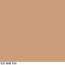 COVERGIRL Outlast All-Day Matte Finishing Powder Medium to Deep .39 oz (11 g) (Packaging may vary) COVERGIRL