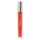 COVERGIRL Colorlicious Gloss Succulent Citrus 670, .12 oz (packaging may vary) COVERGIRL
