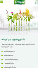 Medical Futures Inc. - Iberogast® 100 ml 3.4 oz Medical Futures