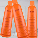 Richée Professional Argan and Ojon 3x1/3x33.8 fl.oz Liter Trio Kit Richee Professional
