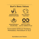 Eye Cream, Burt's Bees Retinol Alternative Moisturizer, Anti-Aging, Renewal Firming Face Care, 0.5 Ounce (Packaging May Vary) Burt's Bees