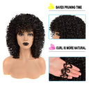 Curly Wigs for Black Women - Premium Curly Afro Wig, Short Synthetic Kinky Curly Wig with Bangs N\A