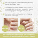 Nail Tek Nail Nutritionist, Keratin Enriched Nail Treatment Oil for Weak and Damaged Nails, 0.5 oz, 2-Pack Nail Tek Store