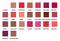 Jolie Cosmetics Waterproof Gel Lip Liner - Super Smooth, Extra Long-Wear (Raspberry) JOLIE. IMPECCABLE ME