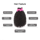 Ayisha Human Hair Water Wave Bundles Brazilian Virgin Hair Water Wave 9A Brazilian Hair Natural Water Curly Wave 3 Bundles 100% Unprocessed Human Hair Extensions Natural Black Color Ayisha