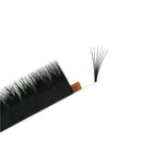 BEYELIAN Easy Fan Volume Eyelash Extensions Rapid Fans Lashes Black Professional Salon Stylists Practice Matte Texture Mink 0.07 C Curl 14mm BEYELIAN