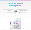 Livingood Daily Creatine + Magnesium Powder, Unflavored | 5g Micronized Creatine Monohydrate with Magnesium for Energy, Muscle Recovery & Performance | 30 Servings Infinity Warehouse