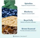 LifeSeasons Stem Boost-R - Stem Cell Support - Naturally Repair Damaged Tissue - Vitamin Supplement Rich in Antioxidants - Royal Jelly, Spirulina, Blueberry, Brown Seaweed & L-Carnosine - 120 Capsules Infinity Warehouse