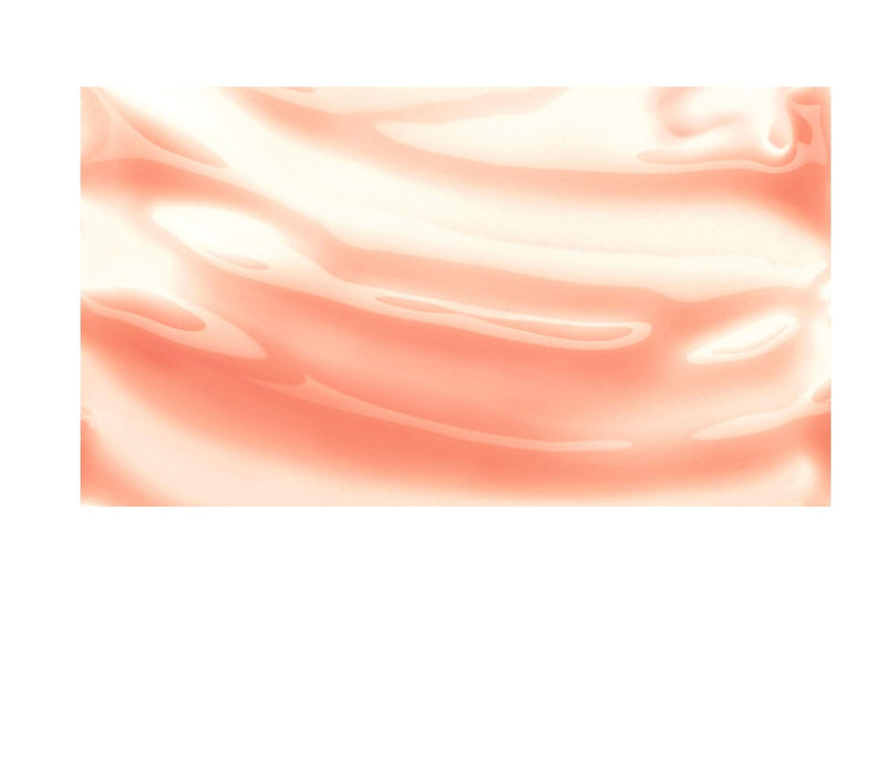 Burt's Bees 100% Natural Moisturizing Lip Shine, Blush, 0.5 Oz Burt's Bees