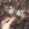 Yean Bride Flower Wedding Hair Pins Gold Pearls Bridal Hair Piece Crystals Hair Accessories for Women and Girls Pack of 2 Yean