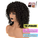 Curly Wigs for Black Women - Premium Curly Afro Wig, Short Synthetic Kinky Curly Wig with Bangs N\A