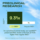 NMNH Supplement Alternative - Liposomal NAD CORE 250mg - 30-Day Supply - High Purity NAD Supplement for Healthy Aging, Energy - 60 Capsules Infinity Warehouse