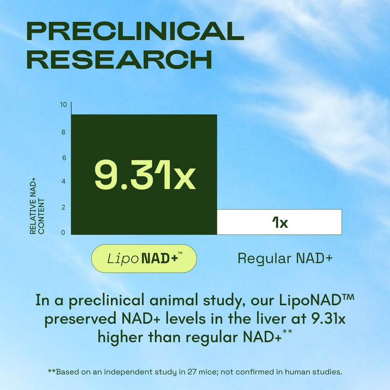 NMNH Supplement Alternative - Liposomal NAD CORE 250mg - 30-Day Supply - High Purity NAD Supplement for Healthy Aging, Energy - 60 Capsules Infinity Warehouse