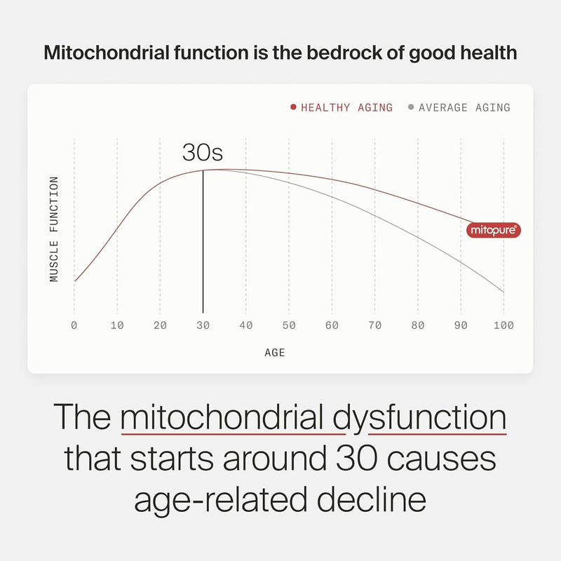 Timeline Mitopure Urolithin A - First Clinically Proven Supplement for Healthy Aging and Cellular Renewal - Mitoceutical for Muscle Strength and Longevity - 30 Sachets Infinity Warehouse