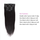 Sassina 12 Inch120G Silky Straight Clip In Human Hair Extensions for African American Black Women Double Wefts 7 Pieces with 17 Clips Sassina Store