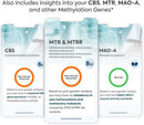 Methylation Test Complete Ultimate 13 Gene Wellness Analysis | 3-Pack Family Kits Over 120 Reports for Nutrition, Fitness, Vitamins, Sleep, Skincare Infinity Warehouse