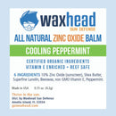 Waxhead Lip Sunscreen - Zinc Oxide Lip Balm Sunscreen for Lips, Lip Therapy, Lip SPF, Lanolin Lip Balm, Shea Butter Lip Balm, Sunscreen Lip Balm, Organic Lip Balm (4 pack, Mint) Waxhead Sun Defense Foods