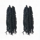 2 Packs Passion Twist Crochet Hair 10 inch Short Bohemian Braids Synthetic Hair Extensions (10Inch2Pcs, 1B) LEONYERI Store