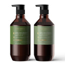 THEORIE Green Tea and Bamboo - Energizing Shampoo - Invigorate & Strengthen, Irresistible Scent of Green Tea, Jasmine, Amber & Cypress - For Damaged & Dull Hair - Color & Keratin Safe , 400mL Theorie