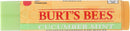 Burts Bees Cucumber Mint Moisturizing Lip Balm for Women, Orange, 0.15 Oz Burt's Bees