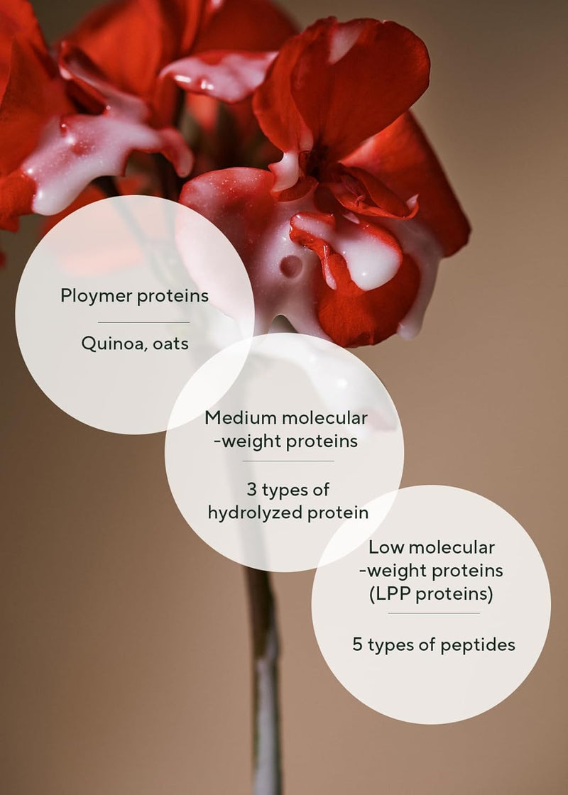 AROMATICA Quinoa Protein Hair Ampoule 3.38 fl. Oz - Vegan Protein Hair Serum for Silky Hair | Nourishing Dry, Damaged Hair | Silicone Free Infinity Warehouse