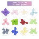Aufisi Dried Flowers Nail Art - 1 Box Mini Real Natural Pressed Dry Flowers, 12 Colors Dry Flowers Nail Art Decoration Supplies, 3D Applique DIY Nail Decoration Sticker (Japanese Dried Flowers) Aufisi
