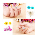 ANPHSIN 4 Boxes Dried Flowers Nail Art- 48 Colors Mini Natural Real Dry Flowers 3D Applique Art Resin Art Supplies with Tweezers for Nail Decoration Sticker Nail Tips Manicure ANPHSIN