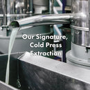 RATED GREEN Real Shea Cold Press Nourishing Shampoo w. Sunflower Seed Oil | Vitamin E | Deep Moisture & Soothing Care for Dry, Damaged Hair | Silicone-Free, Korean Vegan Formula | 13.52 fl oz Infinity Warehouse