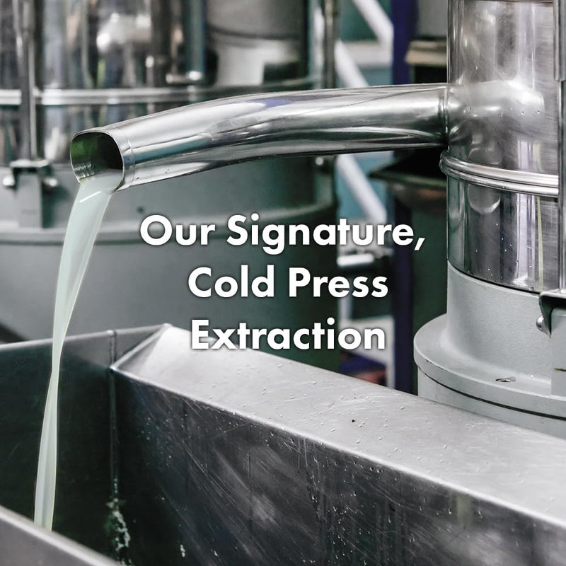 RATED GREEN Real Shea Cold Press Nourishing Shampoo w. Sunflower Seed Oil | Vitamin E | Deep Moisture & Soothing Care for Dry, Damaged Hair | Silicone-Free, Korean Vegan Formula | 13.52 fl oz Infinity Warehouse