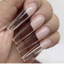 ALLKEM Soft Gel Clear Extra Long XXL Ballerina False Press on Nails full cover 504 Pcs Set Bag ALLKEM Store