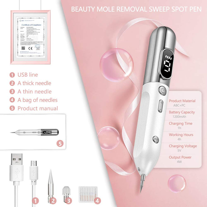 Portable Beauty Equipment With Home Usage, USB Charging, 30 Replaceable Needles, 9 Levels Adjustable, Silver AMZGIRL
