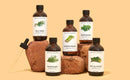 Brooklyn Botany Eucalyptus Essential Oil – 100% Pure and Natural – Therapeutic Grade Essential Oil with Dropper - Eucalyptus Oil for Aromatherapy and Diffuser - 4 Fl. OZ Brooklyn Botany