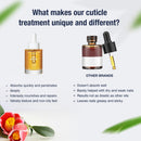 Onsen Secret Nail Reboot Duo - Treatment for Damaged Nails - Natural Nail Care & Cuticle Repair - Visible Results For Perfect Nails, Cuticle Conditioner Cream 30ml & Nail Reboot Oil 35ml Infinity Warehouse