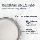 Blueprint Bryan Johnson Hydrolyzed Collagen Peptides Powder – Type I, II & III Collagen for Women & Men – Unflavored Protein Supplement for Hair, Skin, Nails, Joints & Cartilage – 20g – 30 Servings Infinity Warehouse
