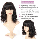 PANEWAY Short Human Hair Wigs with Bangs Brazilian Body Wave Virgin Human Hair Wigs for Black White Women Short Wavy Bob Wigs with Bangs 12 Inch PANEWAY Store
