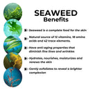 Repechage Sea Cleanse Foaming Seaweed Cleanser – Hydrating Soap-Free Daily Facial Cleanser for All Skin Types with Seaweeds, AHAs, Soy Protein & Vitamin C – Gently Exfoliating Face Wash – 5 fl oz Infinity Warehouse