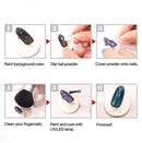 Hanzel Nail Powder Set - 12 Jars Flashing Crystal Sequins,Glitter Aurora Chameleon Powder,Christmas Decoration for Nail or Artworks, Pretty Colors,Easy apply at Home or Premium Salon (A5) Hanzel