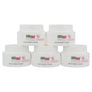 Sebamed Moisturizing Face Cream for Sensitive Skin Antioxidant pH 5.5 Vitamin E Hypoallergenic 2.6 Fluid Ounces (75mL) Ultra Hydrating Dermatologist Recommended Moisturizer (Pack of 5) SEBAMED