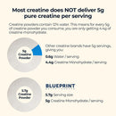 Blueprint Bryan Johnson Creatine Monohydrate Powder – Amino Acid Powder - Suppliment Supports Muscle Growth, Recovery, Strength & Focus – Unflavored Creatine for Women & Men – 5g Dose – 100 Servings Infinity Warehouse