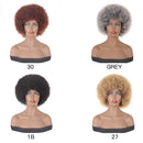 PWEOUKE 4 Inch Grey Afro Wig for Black Women Lightweight Synthetic Wig Fluffy Afro Curly Hair for Party and Daily High Temperature Fiber Short Afro Kinky Curly Wigs Full Wigs GREY