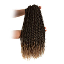 Niseyo 7 Packs Passion Twist Hair 24 Inch Ombre Water Wave Crochet Hair for Passion Twist Crochet Hair Long Bohemian Locs Braiding Hair Extensions (7Packs T27) Niseyo Store