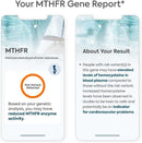 Methylation Test Complete Ultimate 13 Gene Wellness Analysis | 3-Pack Family Kits Over 120 Reports for Nutrition, Fitness, Vitamins, Sleep, Skincare Infinity Warehouse